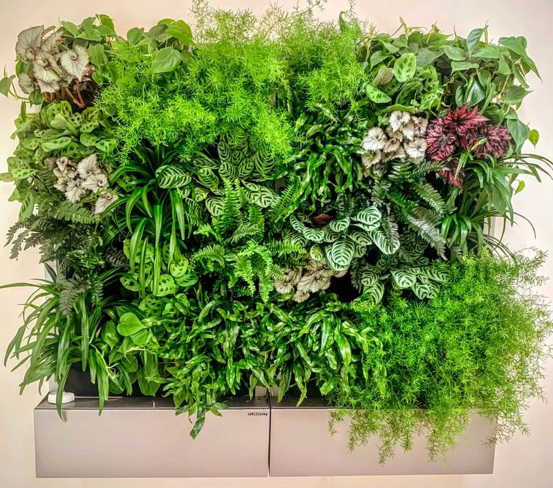 Living Wall Panels For Ornamental Plants