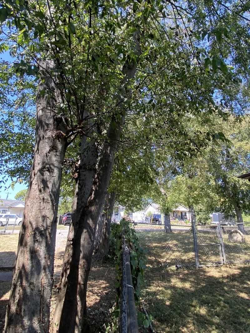 Nuisance Laws Have Limits