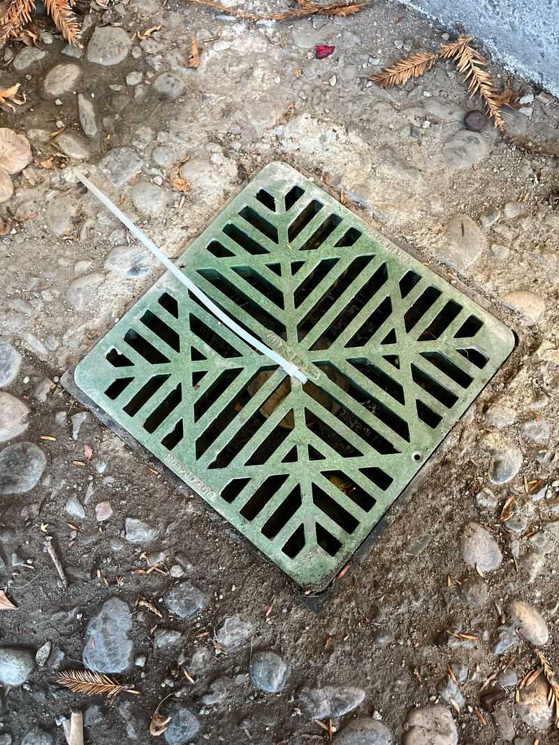 Municipal Ordinances Add Another Layer of Rules