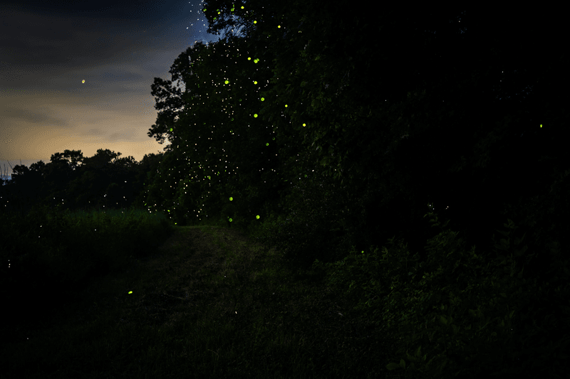 Pesticide Use in Yards and Farms