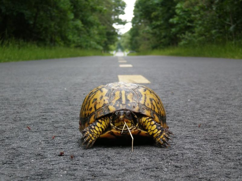 Move It In The Direction It Was Heading