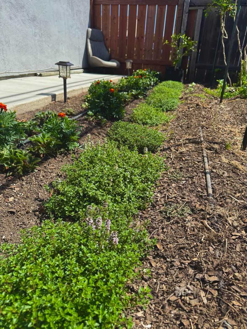 Thrives In Washington's Climate Conditions