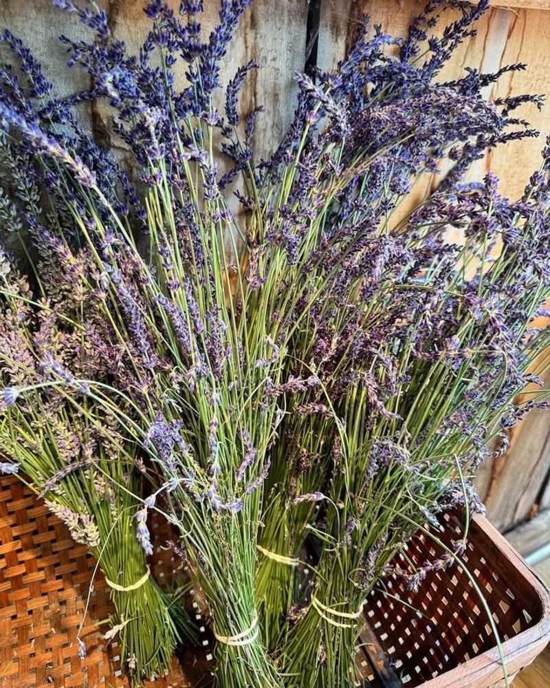 Creates A Calming Aromatherapy Experience