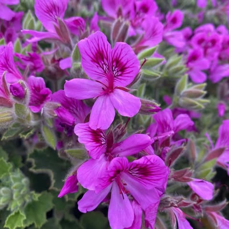 Minimal Water Needs Save Resources