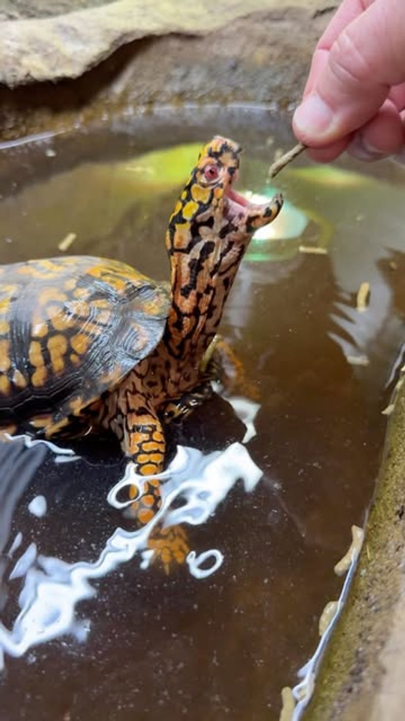 Provide Water But Not Food