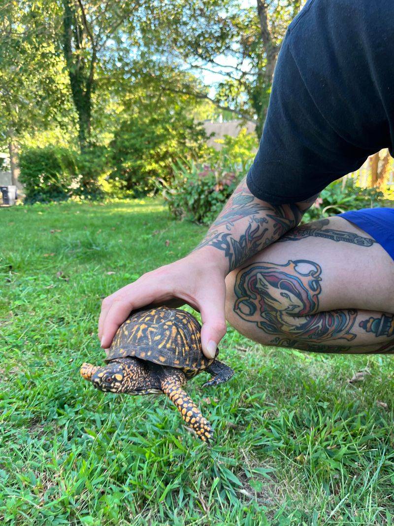 Provide Temporary Shelter If Necessary