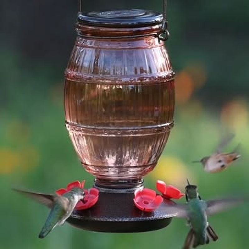 Wait Until Late October Or Early November