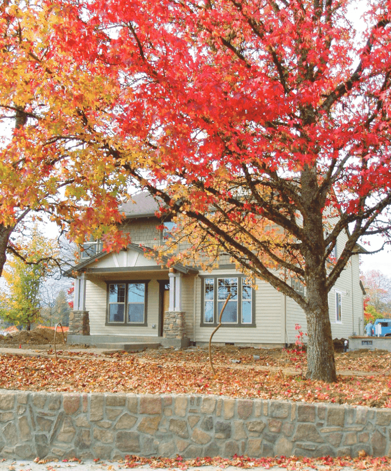 Florida Follows The Natural Growth Rule