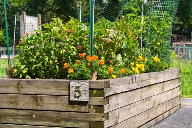 plants (featured image)