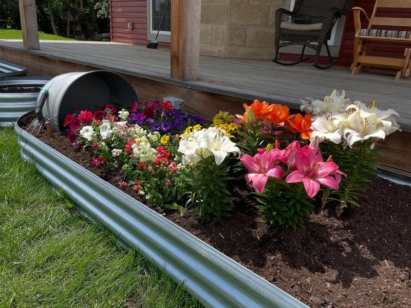 Improve Drainage with Raised Beds
