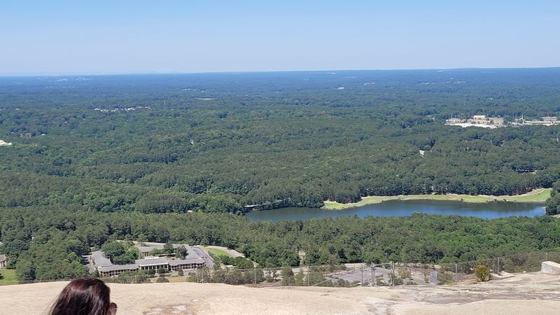 Entire Forest Section Consumed Near Stone Mountain
