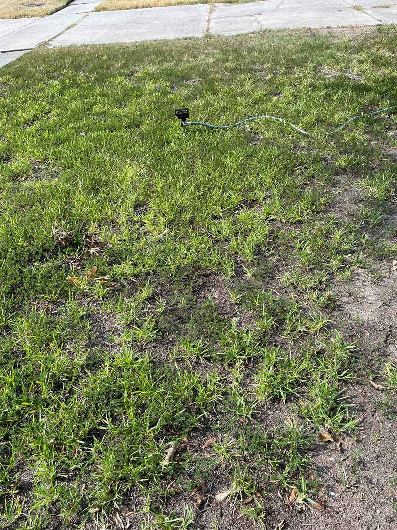 Consult with a Property Attorney About Options