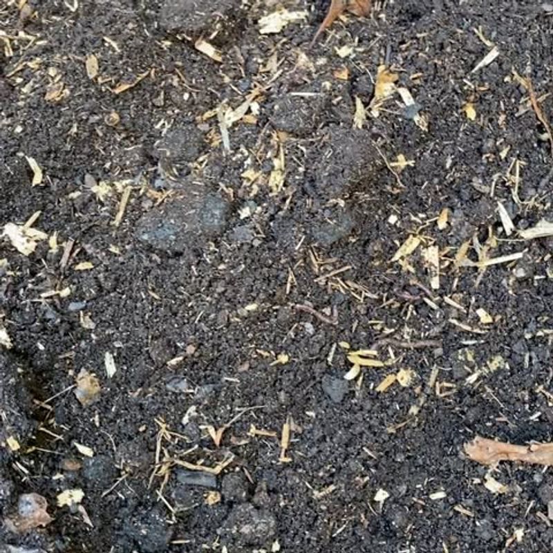 Feeds Beneficial Soil Organisms