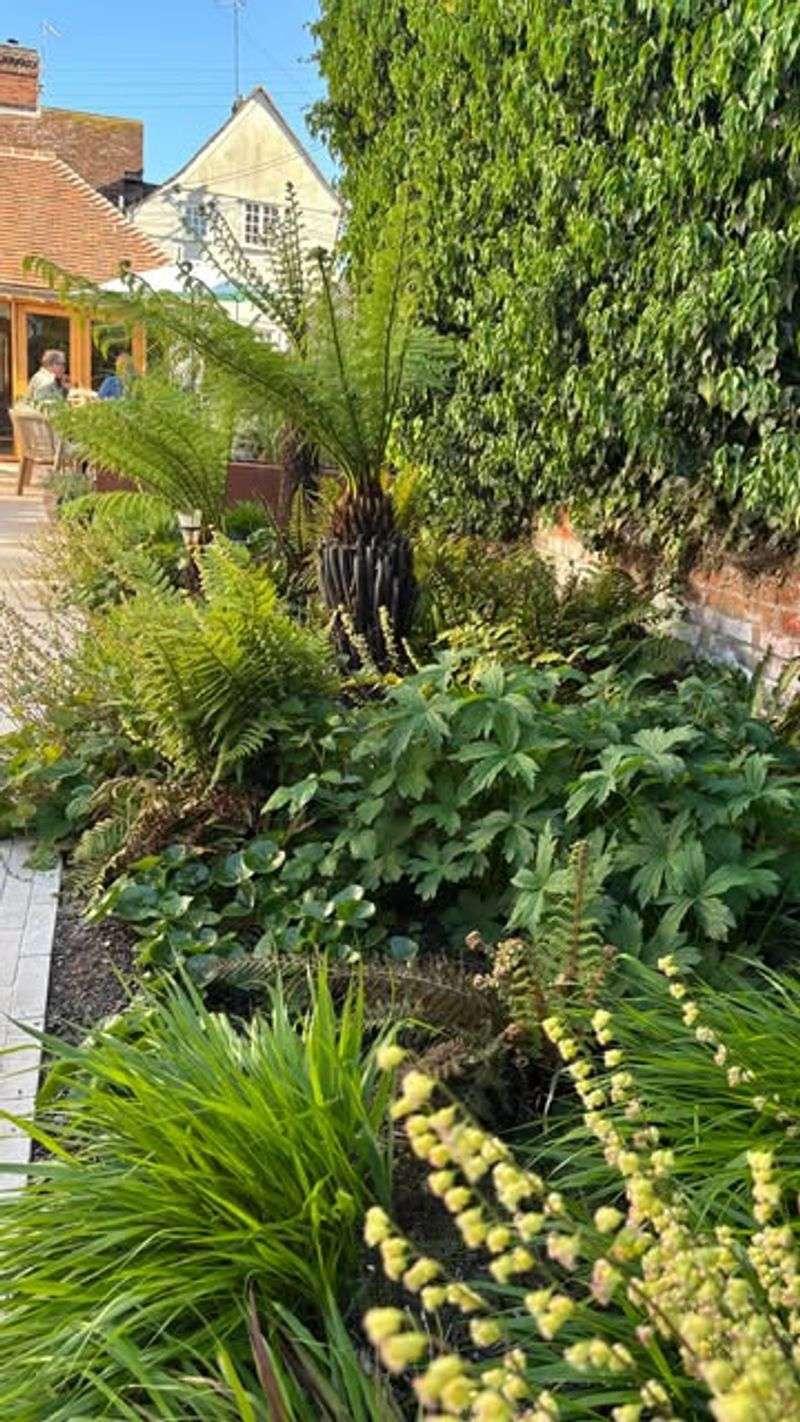 The Wild-Bloom Trend Making Yards Look Effortlessly Magical