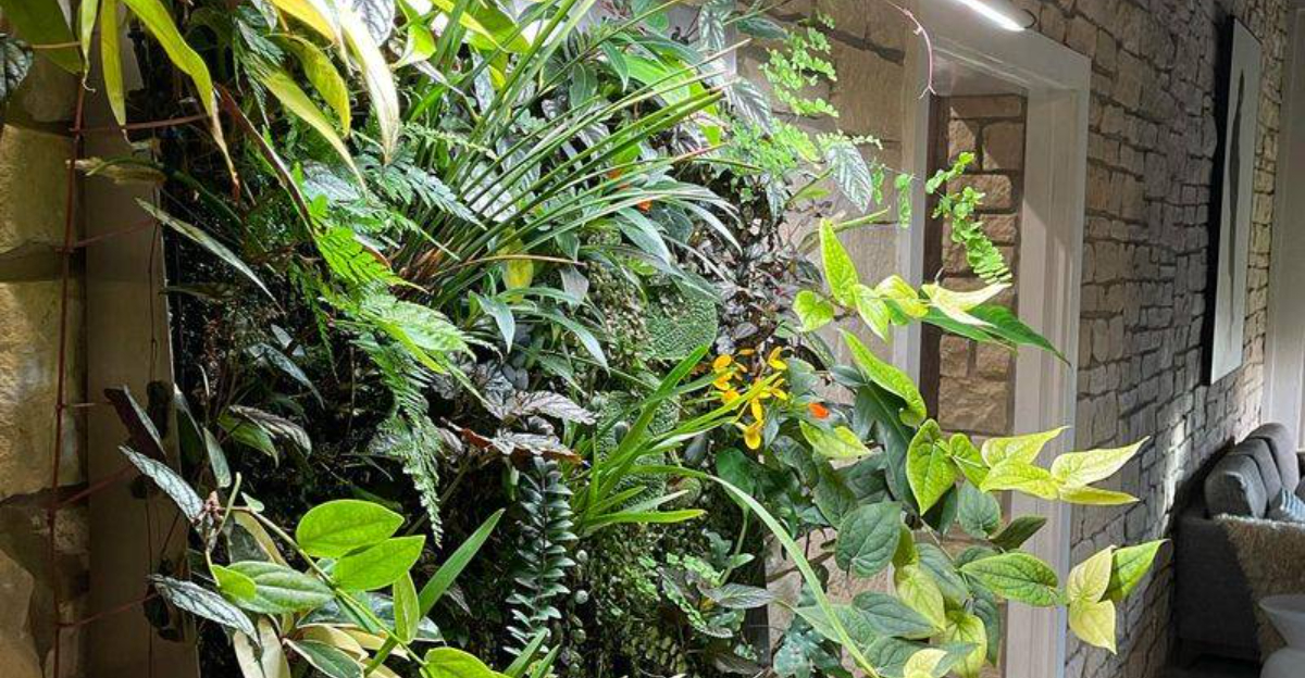 How California Residents Make Stunning Living Walls Indoors