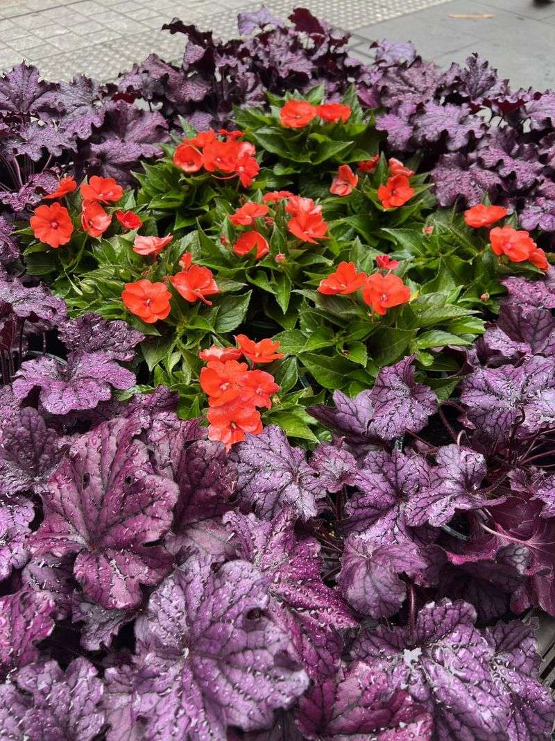 Add Year-Round Foliage Color