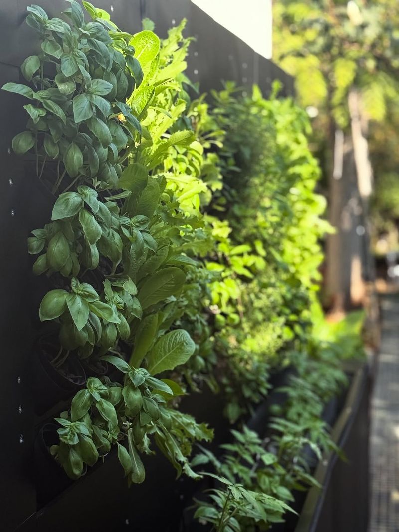 Wall-Mounted Pocket Planters For Herb Gardens