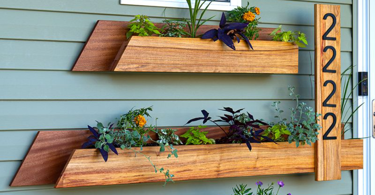 How Delaware Residents Are Transforming Small Spaces With Vertical Gardens
