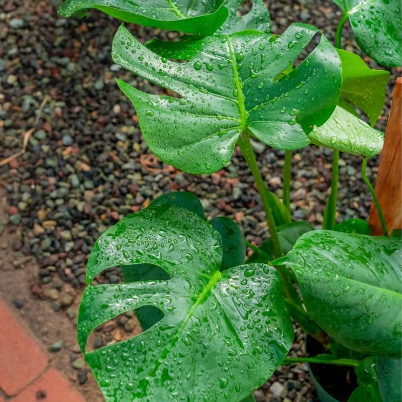 Choose The Right Lighting Conditions