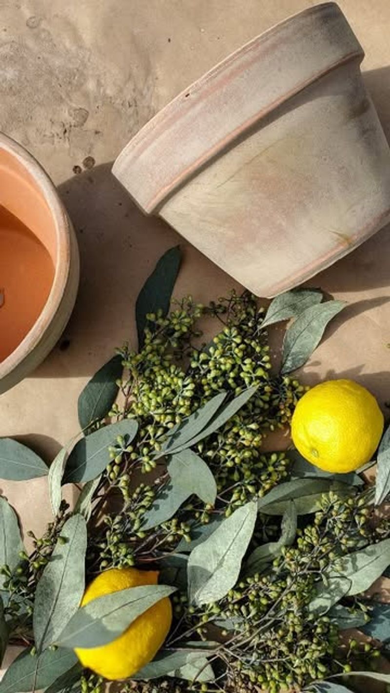 Limewash Swipes That Give Terracotta A Soft, Faded Vibe