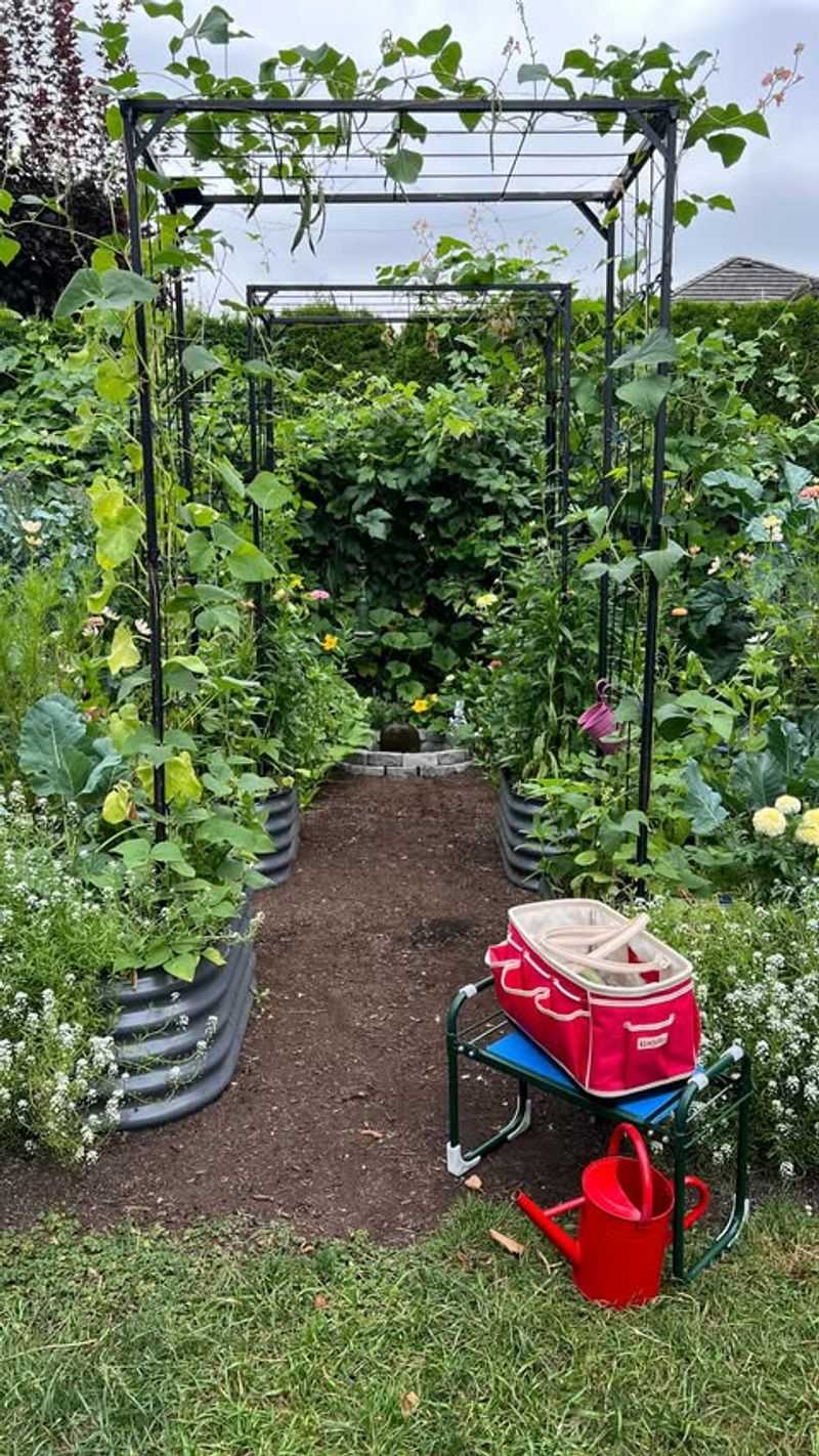 When To Repeat The Trick So Your Plants Keep Thriving