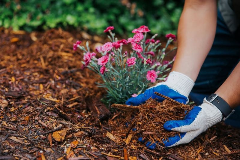 Soil Moisture Boost - Why The Timing Benefits Fall Gardens