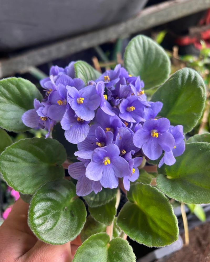 Find The Perfect Window Spot