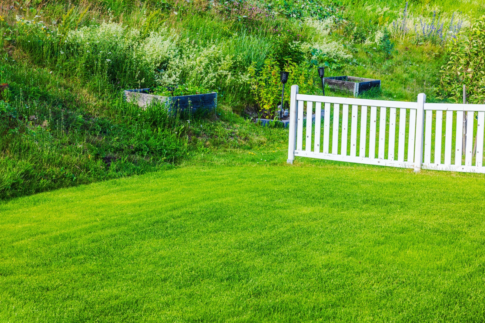 How Sprinkling Baking Soda Can Benefit Your Lawn In Pennsylvania This November