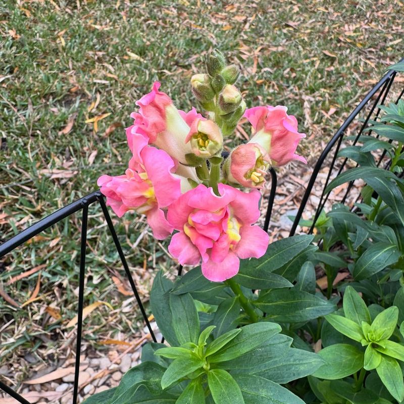 Plant at the Perfect Time