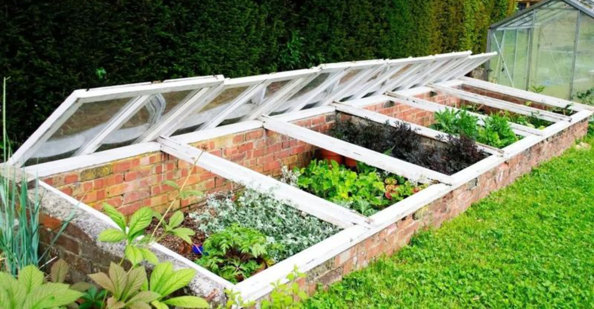 How To Protect Your Late-Fall Garden Before Thanksgiving Freeze In Nebraska