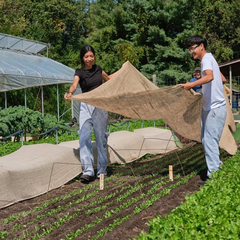 Choose Breathable Materials For Wrapping