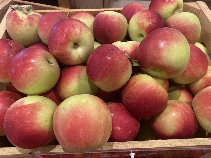 Pick The Perfect Apples