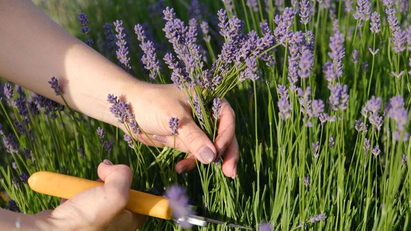 Wait For The Right Weather Window