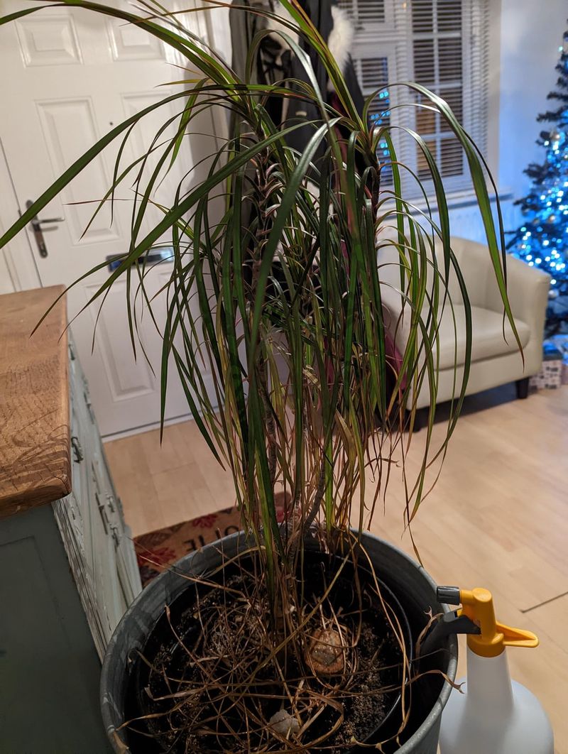 Radiator Heat Creates Uneven Temperature Zones