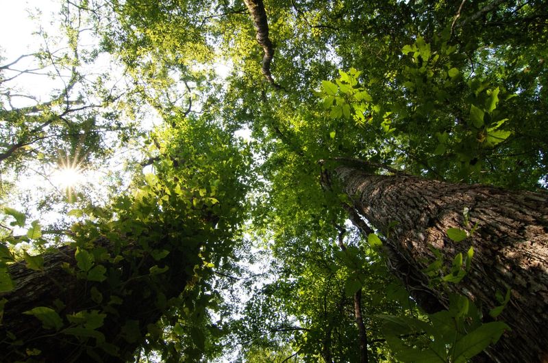 Wildlife Management Zones