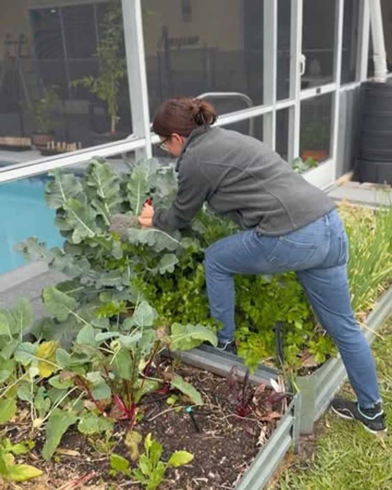 Physical Exercise Happens Naturally