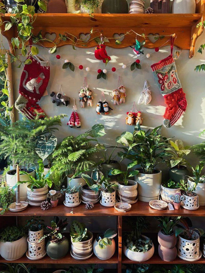 Houseplants That Instantly Turn Festive With Simple Décor