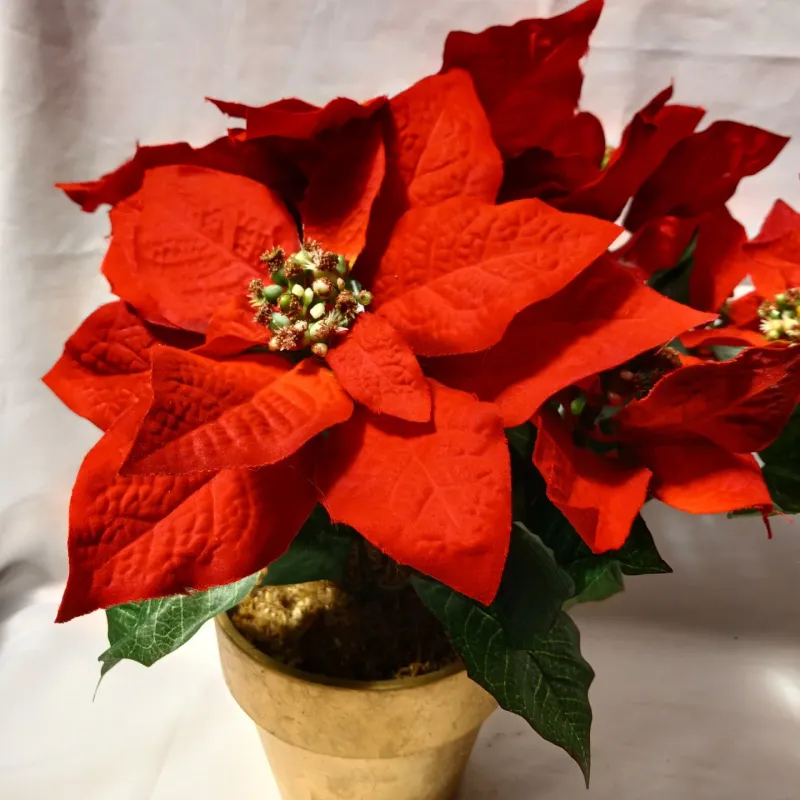 The Giant Fake Poinsettia That Nearly Made Me Jump Out Of My Garden Boots