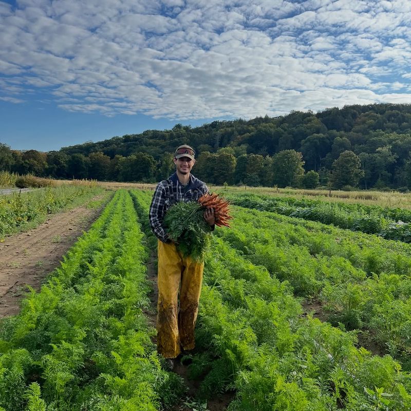 Reduced Competition From Other Plants