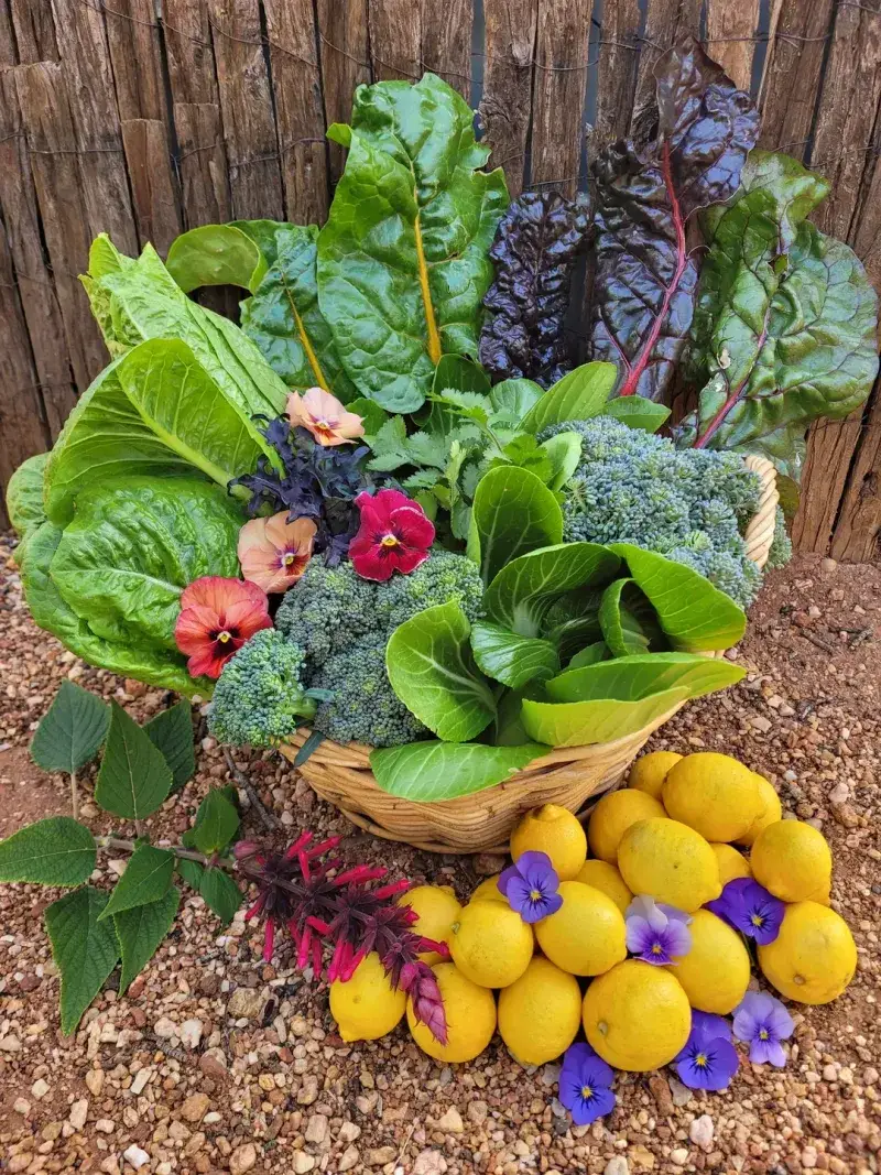 Fresh Produce During Winter Grocery Shortages