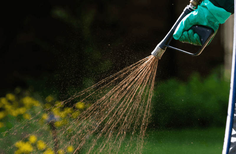 Apply Pre-Emergent Herbicide Early