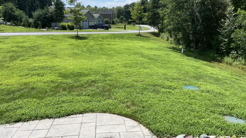 Compacting Soil With Heavy Traffic