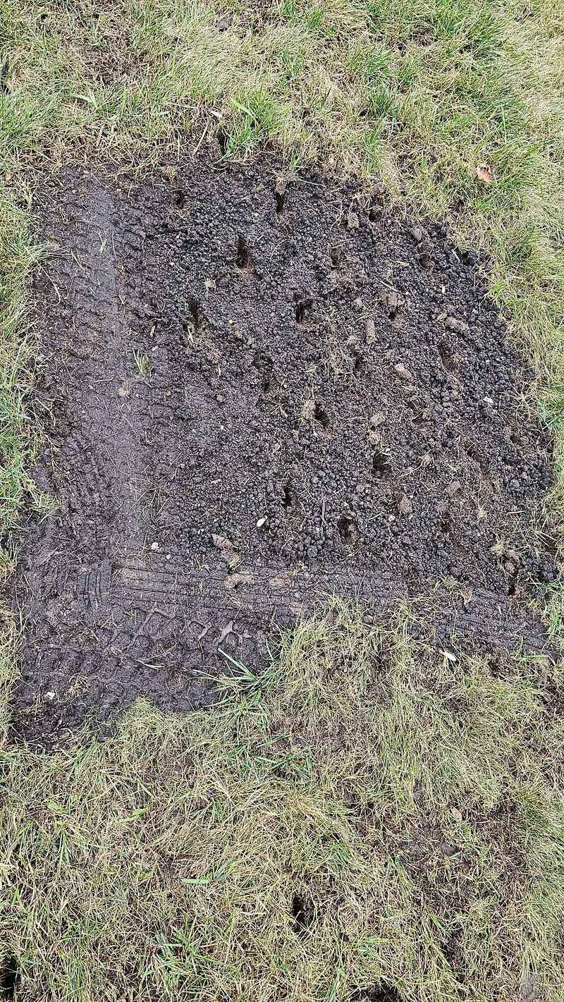 Neglecting to Aerate Compacted Soil