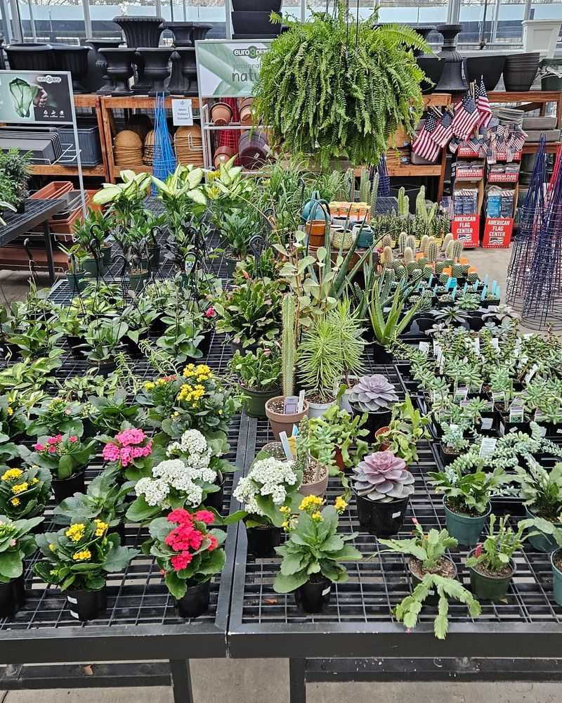 Overlooking Salt Tolerance Requirements