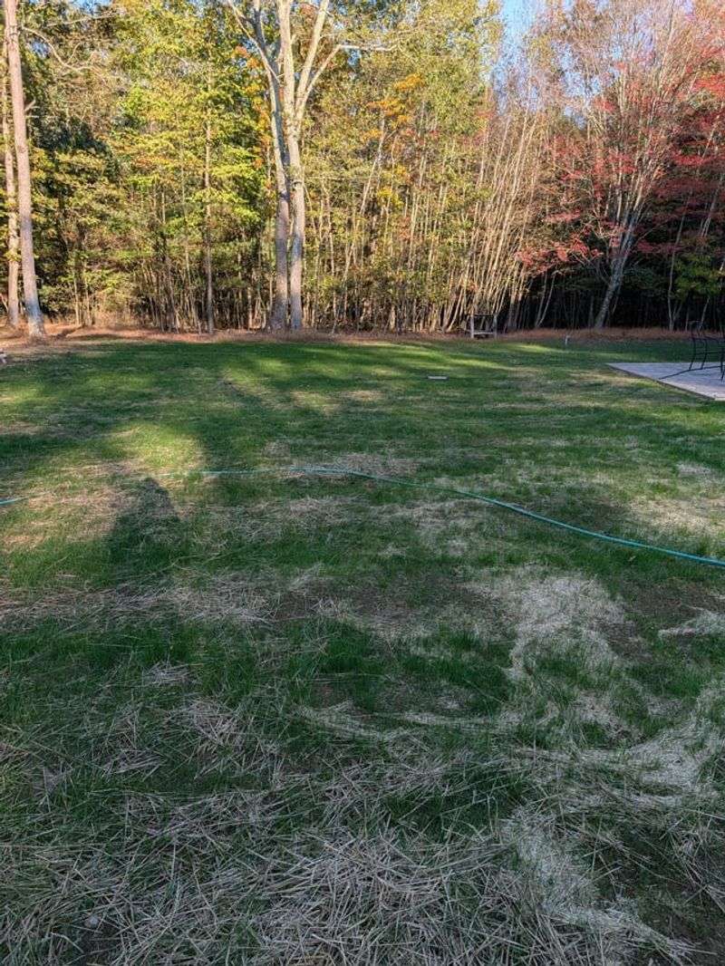 Skipping Fall Fertilization Completely