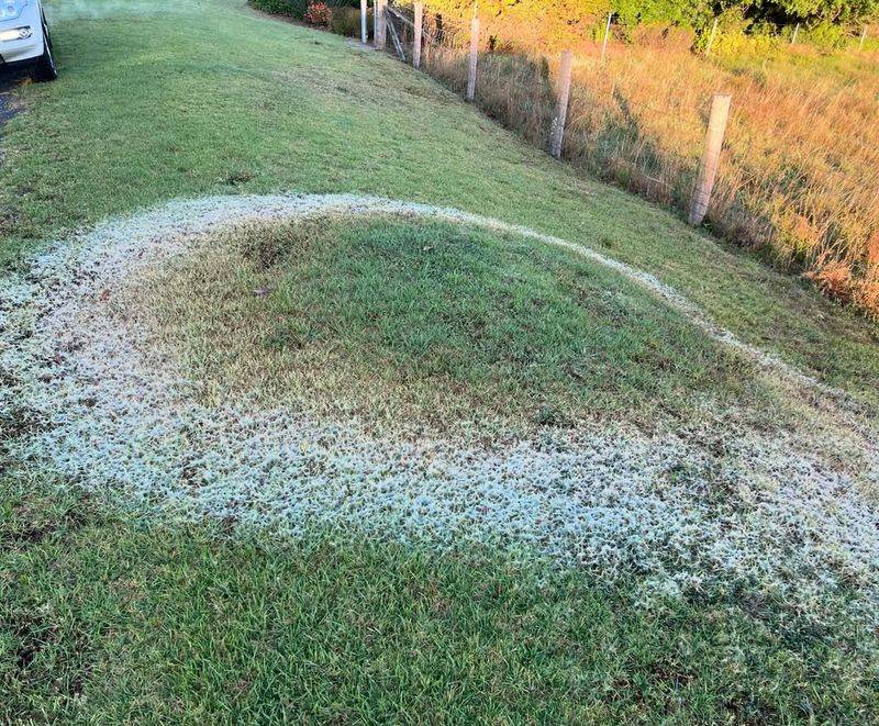 Avoid Walking On Affected Areas