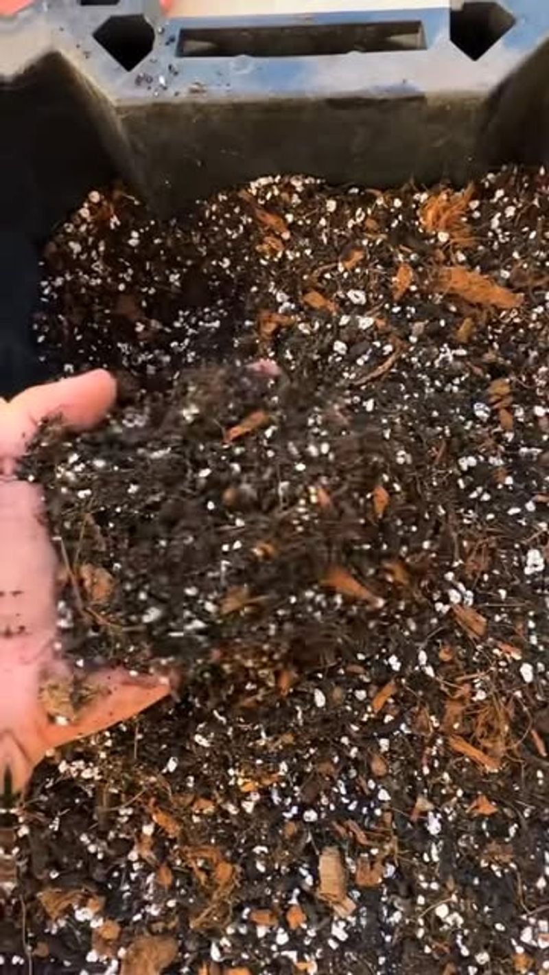 Choose Well-Draining Soil Mixtures