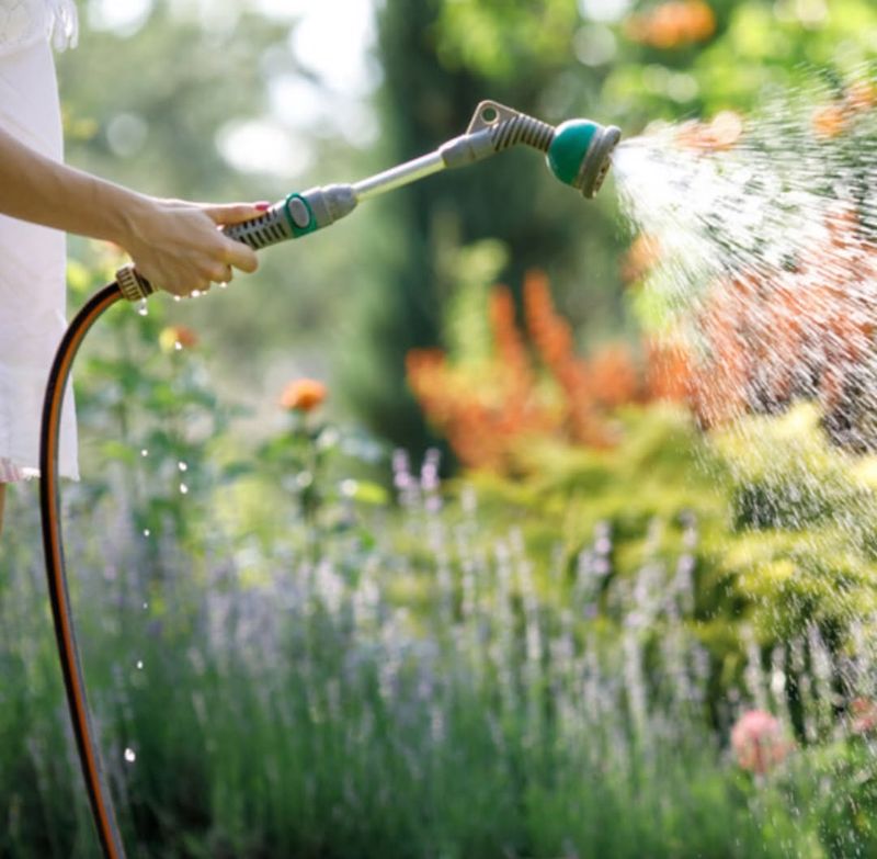 Water Wisely After Planting
