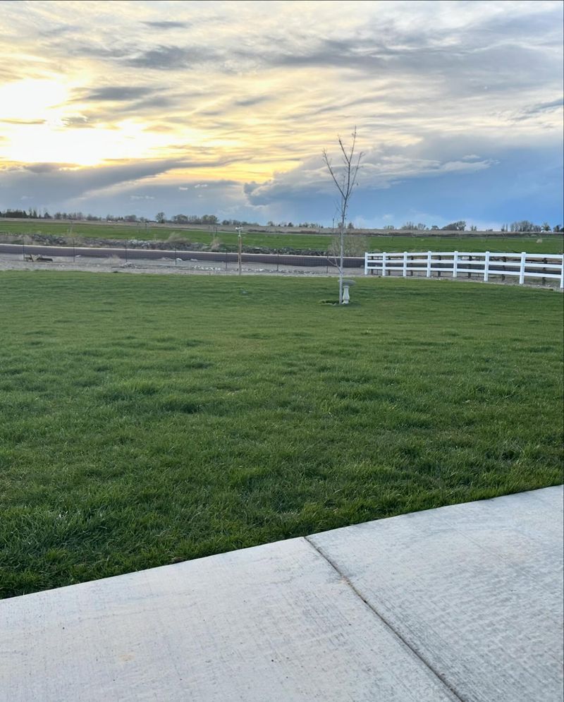 Makes Fertilizer Application More Effective