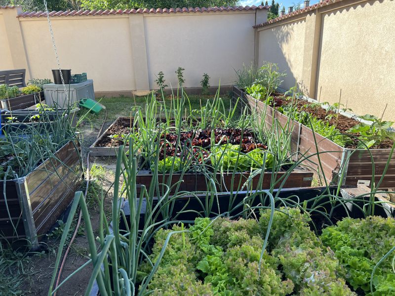 Reduces Harmful Pest And Disease Problems